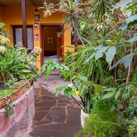 La Asomada Del Gato Konuk evi La Laguna  Dış mekan fotoğraf