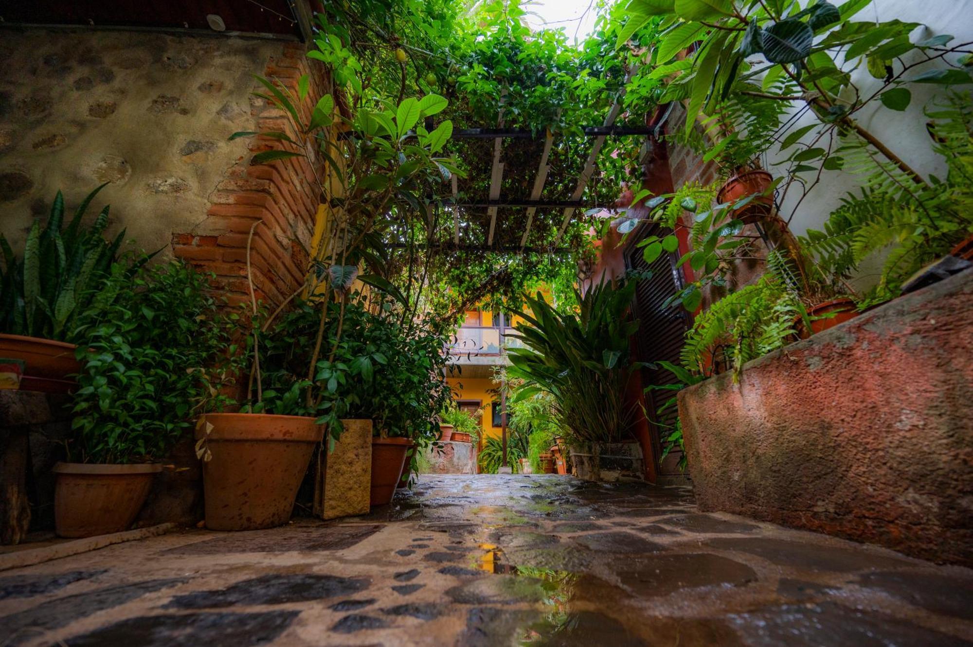 La Asomada Del Gato Konuk evi La Laguna  Dış mekan fotoğraf