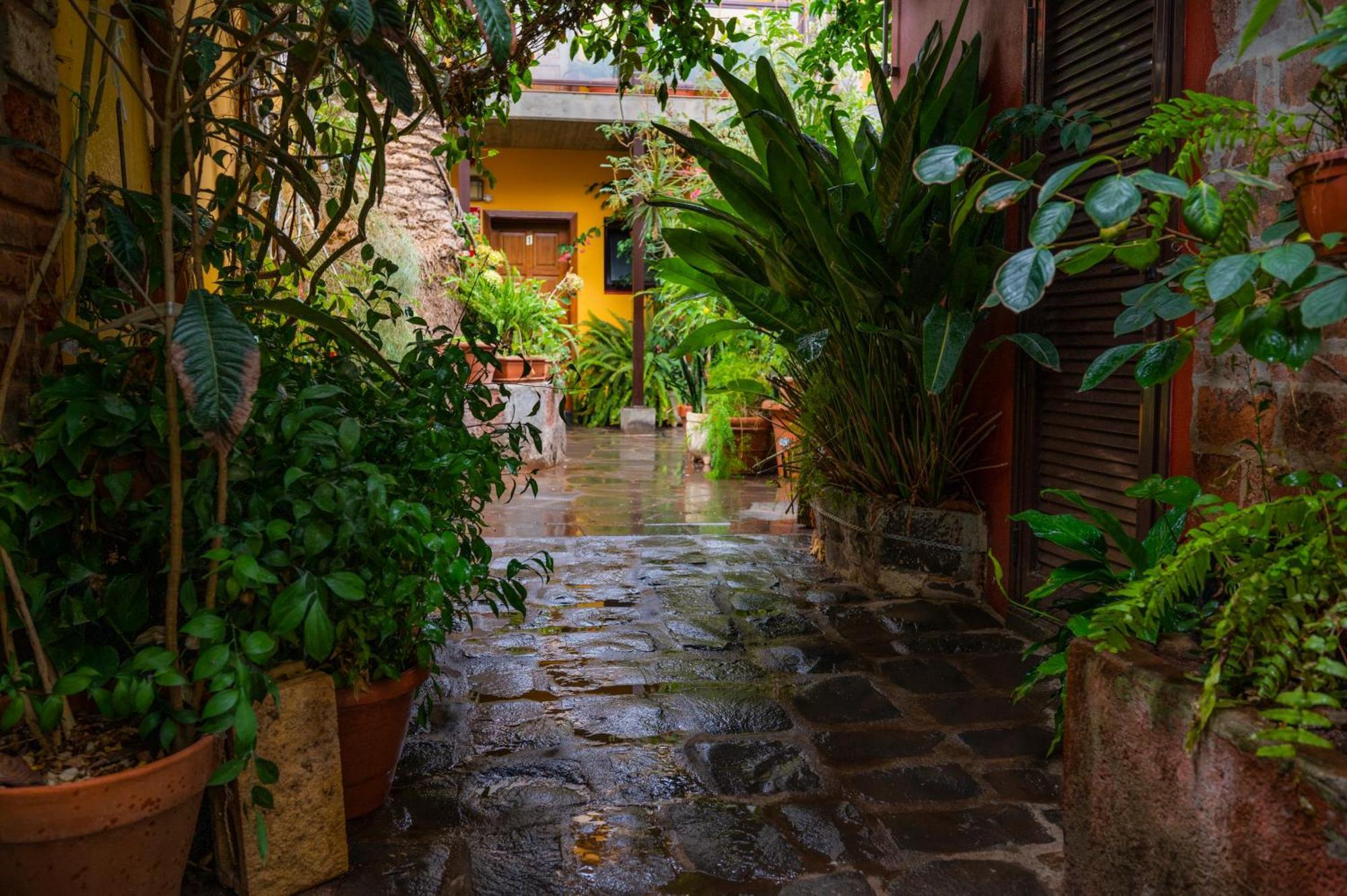 La Asomada Del Gato Konuk evi La Laguna  Dış mekan fotoğraf